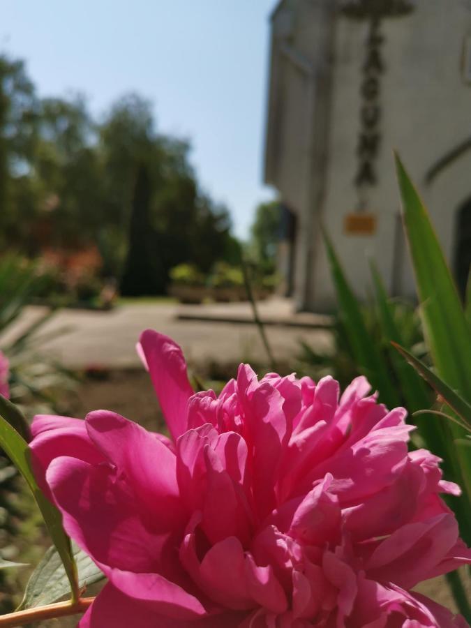 Laguna Panzio Gárdony 외부 사진